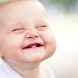 Happy baby 3 390x285